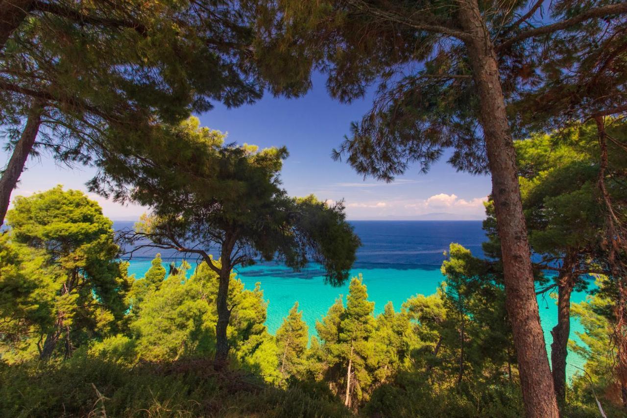 Evripidis Hotel Afytos Bagian luar foto